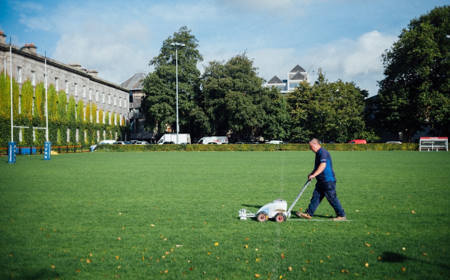 Landscaping and lawn care